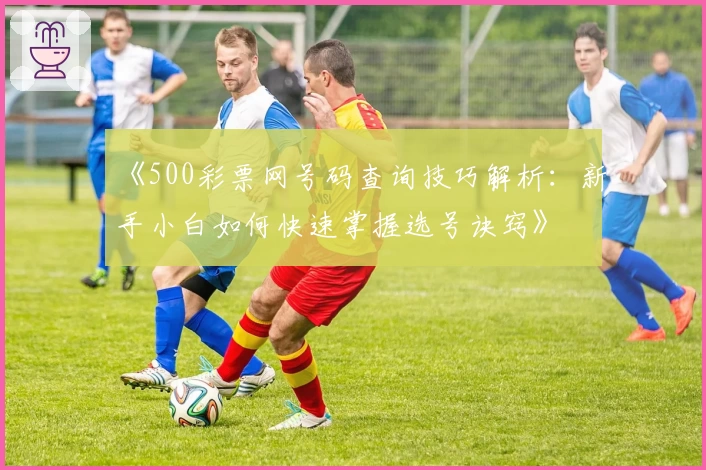 《500彩票网号码查询技巧解析:新手小白如何快速掌握选号诀窍》