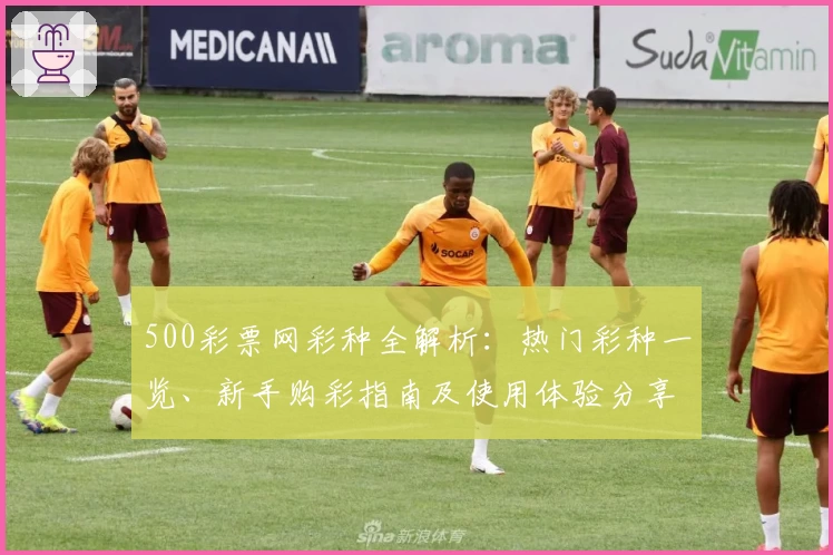 500彩票网彩种全解析：热门彩种一览、新手购彩指南及使用体验分享