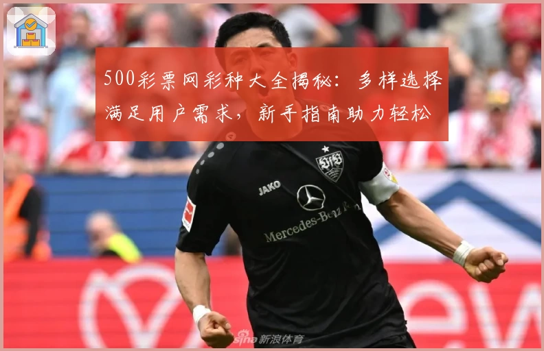 500彩票网彩种大全揭秘：多样选择满足用户需求，新手指南助力轻松玩转