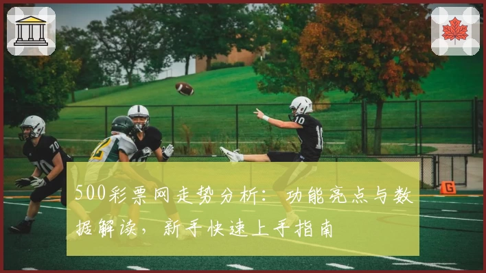 500彩票网走势分析：功能亮点与数据解读，新手快速上手指南