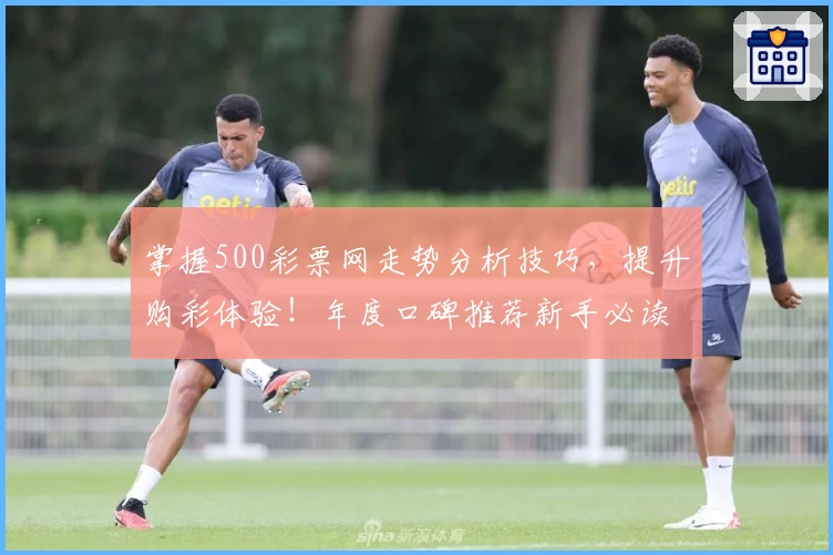 掌握500彩票网走势分析技巧，提升购彩体验！年度口碑推荐新手必读