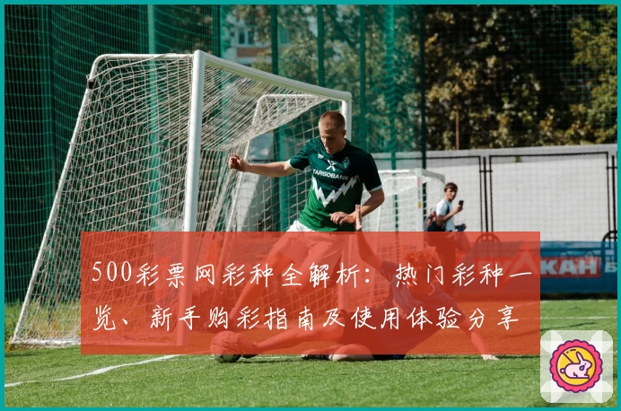500彩票网彩种全解析：热门彩种一览、新手购彩指南及使用体验分享